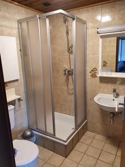 Apartment, shower, toilet, 1 bedroom