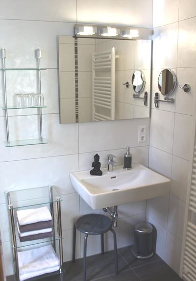 Apartment, shower or bathtub, terrace