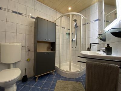 Holiday home, shower, toilet, lake view