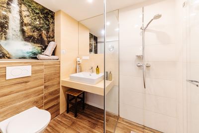 Double room, shower or bath, toilet, modern conveniences