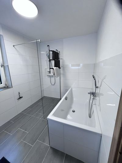 Apartment, shower or bath, toilet, lake view