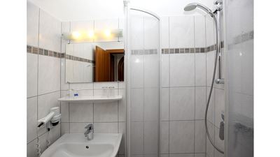 Apartment, shower or bath, toilet, living room/bedroom
